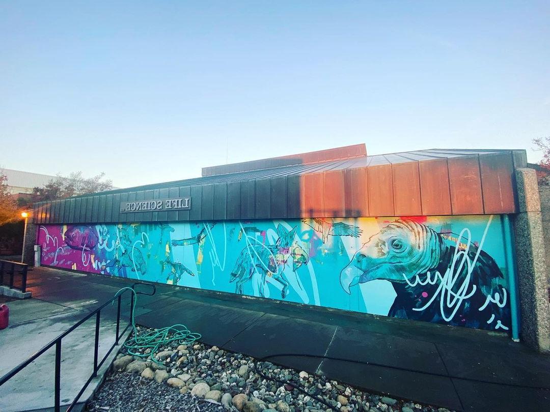 a mural by dylan tellesen on the life sciences building and fetauring multi color painted layers and wildlife such as salmon and vultures